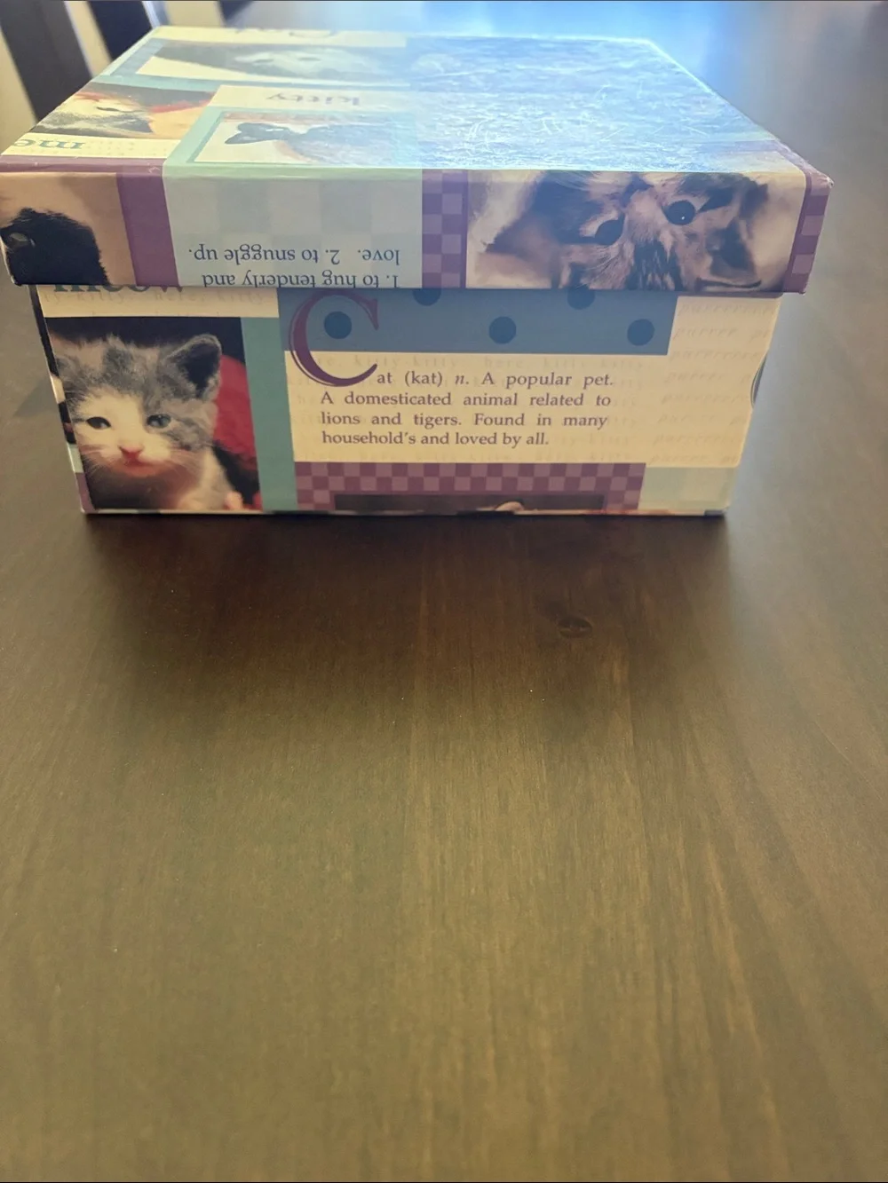 Kitty Cat Decorative Storage Box - Blue and Purple